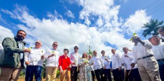 INTABACO inicia Cosecha Tabacalera 2025-2026 con siembra de más de 160 mil tareas*