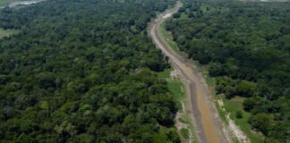 El crimen organizado, gran amenaza para la Amazonía