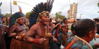 COP30: ¿Más lobistas que representantes indígenas?