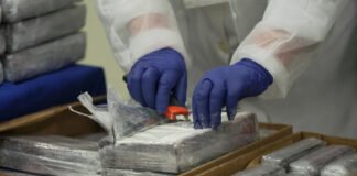 ¿En qué consiste el plan de Francia para frenar el narcotráfico?