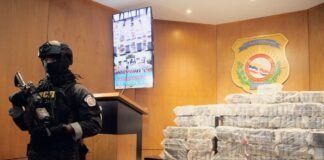 La Lanza del Sur y el negocio de la guerra