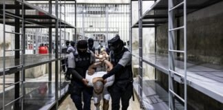 Localizados en cárceles de Bukele cuatro salvadoreños desaparecidos, deportados por Trump y detenidos sin cargos oficiales