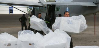 Ente electoral de Honduras prorroga el plazo para pedir la nulidad y el recuento de votos