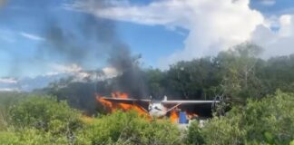 NARCOAVIÓN ABATIDO EN APURE…