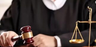 Nuevas leyes en NY, NJ, CT y PA a partir de enero 2026; 1.5 millones dominicanos son residentes