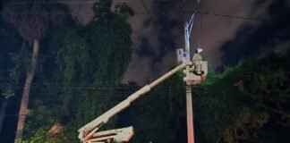 EDENORTE despliega operativo de iluminación navideña en el Cibao: más de 40 municipios y distritos intervenidos simultáneamente