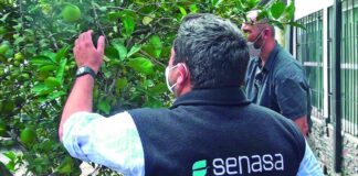 EDITORIAL: La crisis de SENASA es una afrenta a la dignidad de los dominicanos