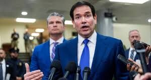 CRÓNICA DE UN PATIO TRASERO CON DUEÑO