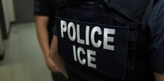 ¿Por qué los dominicanos en Nueva York presentan las tasas de arresto por ICE más bajas entre los latinos?