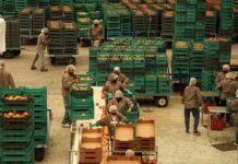 México esquiva el impacto del nuevo arancel ya vigente de Estados Unidos | Internacional