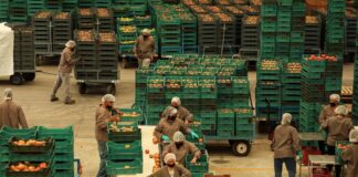 México esquiva el impacto del nuevo arancel ya vigente de Estados Unidos | Internacional