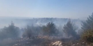 Israel utilizó masivamente fósforo blanco en el sur del Líbano, según un estudio