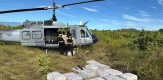 HELICÓPTEROS SOBRE LA SIERRA: 1,835 matas y una microindustria verde en las lomas de Baní