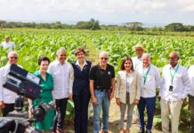 *Industria del tabaco impulsa la economía con un aporte de 1,356 millones de dólares anuales, afirma la vicepresidenta Raquel Peña*