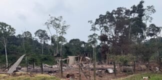 EE UU y Ecuador bombardean un campamento del narcotráfico cerca de la frontera con Colombia