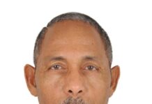 La Curiosidad Imberbe: Un Viaje por la Lectura y la Historia