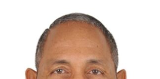 La Curiosidad Imberbe: Un Viaje por la Lectura y la Historia