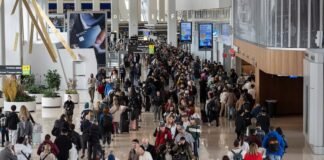 Caos en los aeropuertos: recomendaciones para navegar los retrasos por las largas filas de TSA