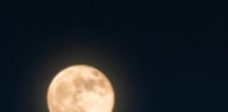 CRÓNICA DE UNA TREGUA EN LLAMAS