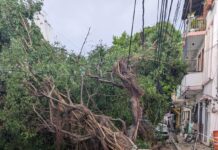 LA VAGUADA DESNUDA FRAGILIDADES URBANAS