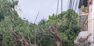 LA VAGUADA DESNUDA FRAGILIDADES URBANAS