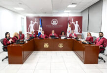 Tribunal Constitucional deja en estado de fallo once expedientes