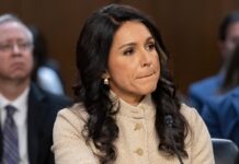 Dimite Tulsi Gabbard, la directora de inteligencia de Estados Unidos | Internacional