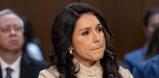 Dimite Tulsi Gabbard, la directora de inteligencia de Estados Unidos | Internacional