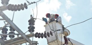 EDENORTE intensifica recuperación del alumbrado público en el Cibao con más de 11 mil acciones en apenas cuatro meses – El Diario Universal