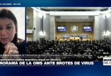 ¿Cuál es el panorama de la OMS ante los brotes de hantavirus y ébola y la desfinanciación de EE. UU.?
