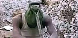 Este es el inmigrante que vino a “robarnos la patria”.