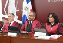 TC marca un hito al conocer 21 acciones directas de inconstitucionalidad en una sola audiencia pública – El Diario Universal