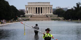 “Vándalos” y amenazas de hasta 10 años de cárcel: Trump desvía la culpa por el fracaso de la piscina reflectante del Monumento a Lincoln