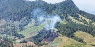 OCOA Y AZUA: !PELEANDO POR EL MOÑO!