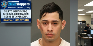 Identifican pistolero asesinó dominicano de un tiro en restaurant del Bronx