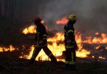 El fuego del suroeste de Francia gana terreno y obliga a nuevas evacuaciones masivas
