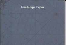 Cartografías interiores, de Guadalupe Taylor