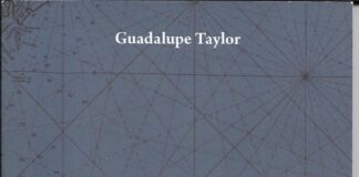Cartografías interiores, de Guadalupe Taylor