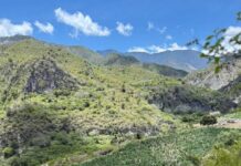 SAN JOSÉ DE OCOA: ¿EL NUEVO «VALLE DEL CANNABIS» DOMINICANO?
