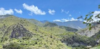SAN JOSÉ DE OCOA: ¿EL NUEVO «VALLE DEL CANNABIS» DOMINICANO?