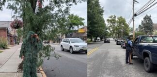 Policía en NJ con traje de arbusto de hojas falsas sorprende a 74 conductores distraido con sus telefonos celulares