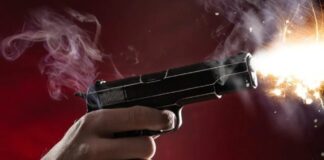 ¿Cuántas armas de fuego ha incautado la policía de NYC este año?
