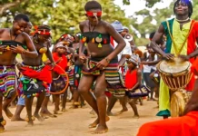 Músicos y Estilos que Definen la Identidad Musical de Senegal