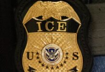 ICE propone pagar seguros para proteger a policías de demandas por detenciones migratorias