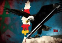 CRÓNICA DE LA RAPIÑA BIEN EDUCADA