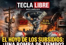 EL HOYO NEGRO DE LAS DISTRIBUIDORAS ELÉCTRICAS
