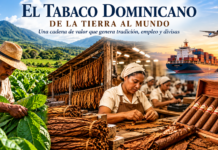 LAS 150 MIL TAREAS DE TABACO Y UNA INDUSTRIA MILLONARIA