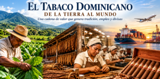 LAS 150 MIL TAREAS DE TABACO Y UNA INDUSTRIA MILLONARIA