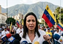 PAZ PRAGMÁTICA O NEGOCIACIÓN A MEDIDA